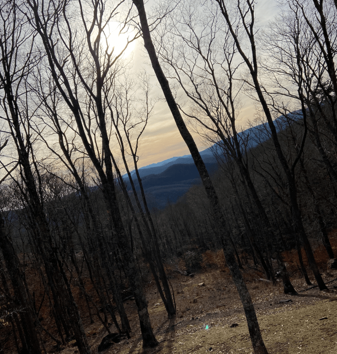 Screen Shot 2020-01-13 at 10.56.52 PM